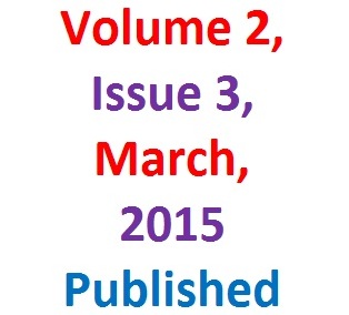 Volume 2 Issue 3 logo – (IAIM)